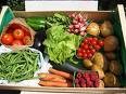 fruits1